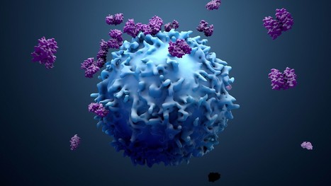 New platform mimics immune interactions to boost cancer treatment | Genetic Engineering Publications - GEG Tech top picks | Scoop.it