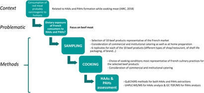 Développement de composés néoformés dans la viande bovine lors de la cuisson | AGROALIMENTAIRE | Scoop.it