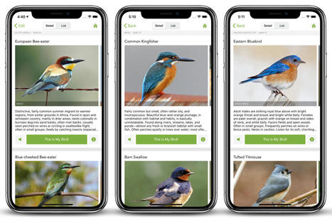 Merlin Bird ID - Free, instant bird identification help and guide for thousands of birds – Identify the birds you see | Boîte à outils numériques | Scoop.it