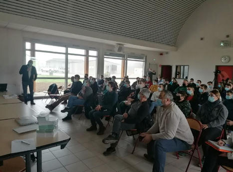 Le pâturage de couverts végétaux : un partenariat gagnant-gagnant entre éleveurs et céréaliers - Innovin | Pour innover en agriculture | Scoop.it