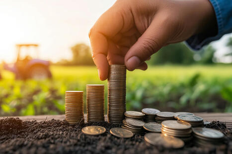 AGRICULTURE : Combien gagne un agriculteur ? | ALIMENTATIONS | Scoop.it
