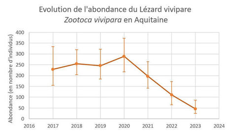 Enrayer l'extinction du Lézard vivipare dans le triangle landais  | Biodiversité | Scoop.it