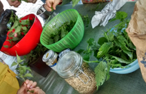 Ateliers &agrave; la Ferme urbaine - mres-asso.org | Nature en ville | Scoop.it
