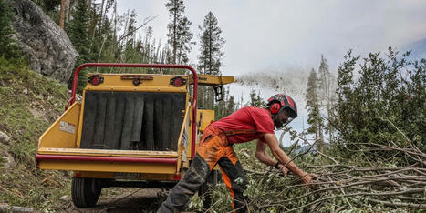 Wildfires Are A Threat To Steamboat Springs&rsquo; Water Supply. Here&rsquo;s How The City Is Getting Ready - CPR.org | Operation Deimos | Scoop.it