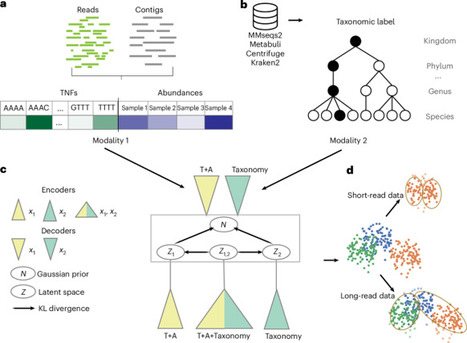 Improving metagenome binning by integrating intrinsic features and taxonomy | Nbt | RMH | Scoop.it