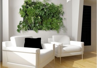 Les murs végétaux pour une Déco Ecolo ! | Build Green, pour un habitat écologique | Scoop.it