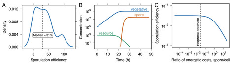 Evolutionary bioenergetics of sporulation | pnas | RMH | Scoop.it
