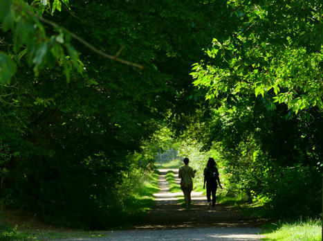 Biodiversit&eacute; sauvage &agrave; l'&eacute;comus&eacute;e | R&eacute;seau Patrimoine du Vivant et Ecologie par Mus&eacute;e du Vivant - AgroParisTech | Scoop.it
