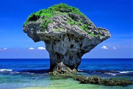 Letter to Editor: Preserving Xiaoliuqiu island | Taiwan News | 2022-04-07 16:04:00 | Industry 411 - Waste Management | Scoop.it