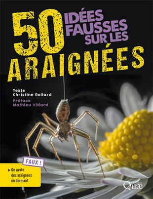 50 id&eacute;es fausses sur les araign&eacute;es - Christine Rollard | Vari&eacute;t&eacute;s entomologiques | Scoop.it