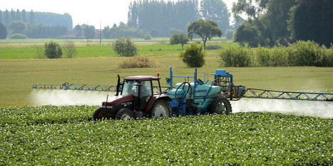 Pesticides : Bruxelles va proposer une réautorisation du Roundup pour dix ans | EntomoNews | Scoop.it