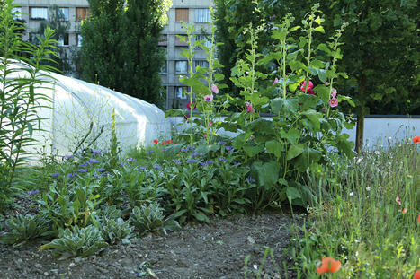 Comment la capitale tente de renouer avec l’agriculture | Energy Transition in Europe | www.energy-cities.eu | Scoop.it