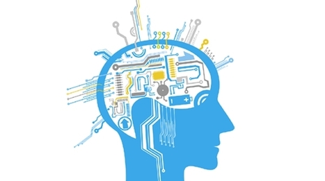 Mémorisation : une région cérébrale responsable d’un puissant biais cognitif | Formation | Digital | Management... | Scoop.it