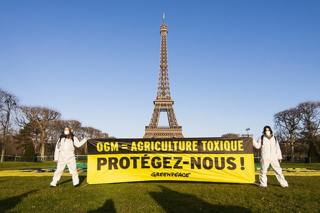 Nouveaux OGM, j’en veux pas (non plus) ! | Toxique, soyons vigilant ! | Scoop.it