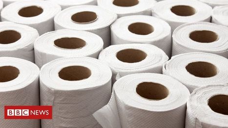 Brexit: Toilet paper maker stockpiles in a case of no-deal | Macroeconomics: UK economy, IB Economics | Scoop.it