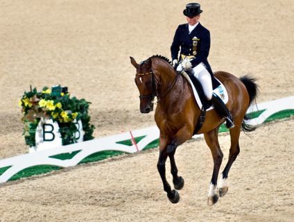 Everything You Wanted to Know About the Romneys' Olympic Horse Named Rafalca | Communications Major | Scoop.it
