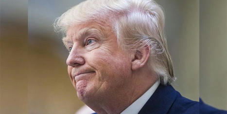 Plan to use taxpayer dollars for a Trump University reboot trashed by WSJ - Raw Story | Operation Deimos | Scoop.it