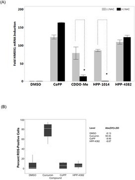 Induction of Heme Oxygenase I (HMOX1) by HPP-4382: A Novel Modulator of Bach1 Activity | Genetic Engineering Publications - GEG Tech top picks | Scoop.it