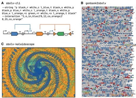 paraSBOLv: a foundation for standard-compliant genetic design visualization tools | Sbio | RMH | Scoop.it