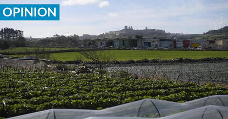 MALTA's food security is under pressure. This is how we're shielding it | CIHEAM Press Review | Scoop.it