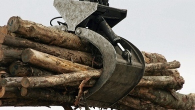 New Brunswick: New forestry plan provides more Crown wood to industry | Timberland Investment | Scoop.it