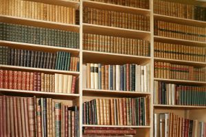Les problématiques des ebooks en bibliothèques | -thécaires... | Avenir des Bibliothèques | Outils de Veille & de Curation | Scoop.it