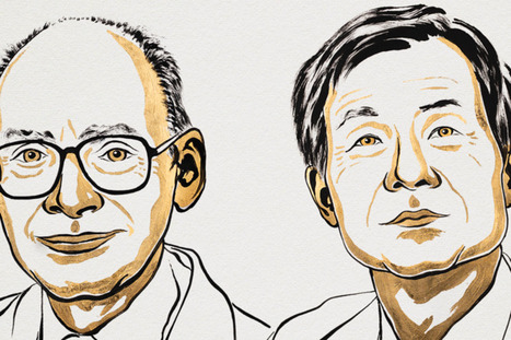 Henri B. Kagan y Kenso Soai, premio Nobel de Qu&iacute;mica 2026 por descubrir por qu&eacute; los amino&aacute;cidos son de izquierdas y los az&uacute;cares son de derechas | Mi Caj&oacute;n de Ideas | Scoop.it