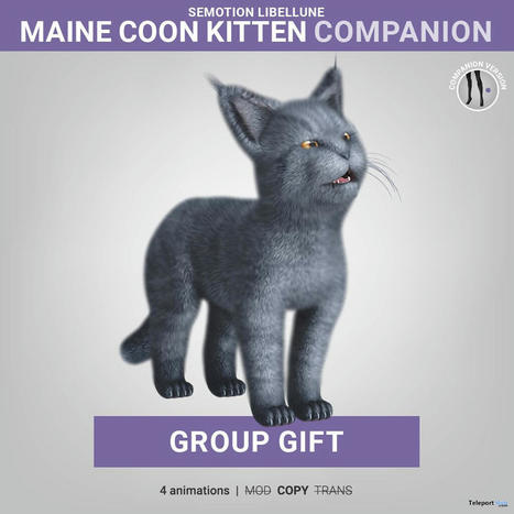 Maine Coon Kitten Halloween 2022 Group Gift by SEmotion & Libellune | Teleport Hub - Second Life Freebies | Second Life Freebies | Scoop.it