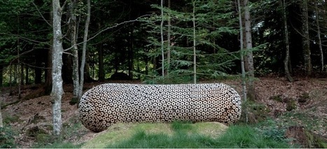 Capsule by Stuart Ian Frost | Art Installations, Sculpture, Contemporary Art | Scoop.it