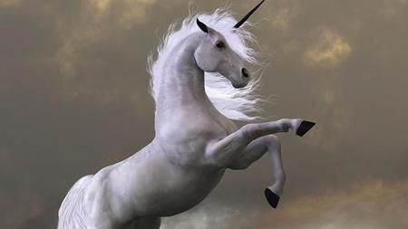 Unicorns suddenly looking a lot less enchanting | Linchpin Territory | Scoop.it