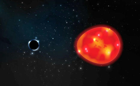 Le trou noir le plus proche de la Terre jamais vu est une minuscule “ licorne ” – | Histoires Naturelles | Scoop.it