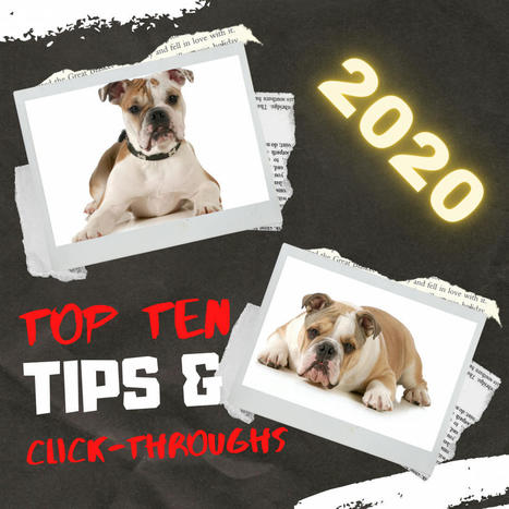 10 Top Tips for educator resources from 2020 | Education 2.0 & 3.0 | Scoop.it