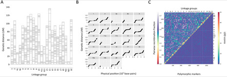 Original Paper in Can J Plant Sci &bull; Belzile Lab 2026 &bull;&nbsp;Quantitative trait loci underlying resistance to the soybean cyst nematode in PI 507354 | Originals | Scoop.it