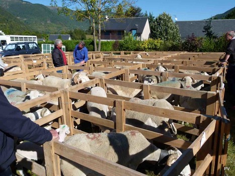 Guchan : Foire de la Saint-Michel le 29 septembre  -  La Semaine des Pyrénées | Vallées d'Aure & Louron - Pyrénées | Scoop.it