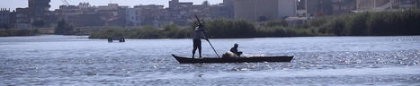 EGYPT : Video | Empty nets | | CIHEAM Press Review | Scoop.it