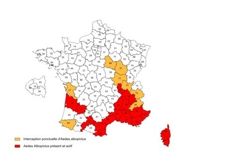 Le moustique-tigre continue sa conquête en France | EntomoNews | Scoop.it