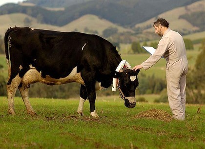 Beer drinkers saving the planet? | Strange days indeed... | Scoop.it
