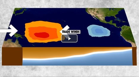 What are El Niño and La Niña? | Human Interest | Scoop.it