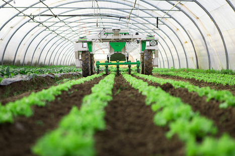 Smart Robotics for Agriculture | Technology in Business Today | Scoop.it