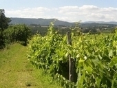 Lablachère (Ardèche) | Lablachère, Sud Ardèche | Scoop.it