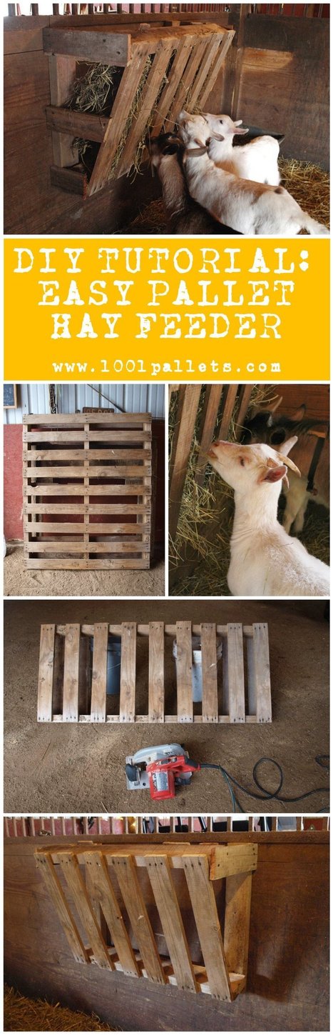 Tutorial In 1001 Pallets Ideas Scoop It