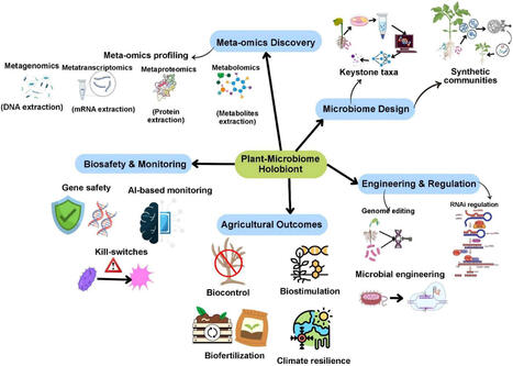 Plant microbiome engineering: from inoculation to genome editing | frn | RMH | Scoop.it