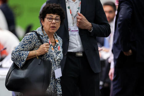 Climat : la nouvelle strat&eacute;gie carbone de la France enfin d&eacute;voil&eacute;e | POLITIQUES ENVIRONNEMENTALES ET CLIMATIQUES, RSE, FINANCES "VERTES", INFORMATIONS GENERALES | Scoop.it