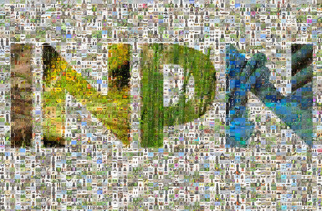 R&eacute;f&eacute;rentiel Habitats (HABREF) - INPN | Biodiversit&eacute; | Scoop.it