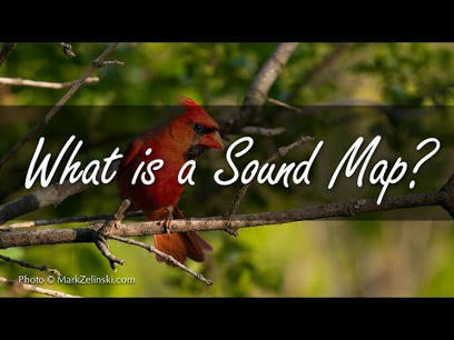 Activity: Drawing a Sound Map | Primary geograp...