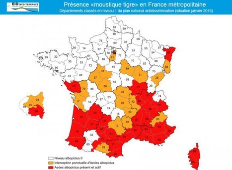 La chasse au moustique-tigre réactivée en France hexagonale | EntomoNews | Scoop.it