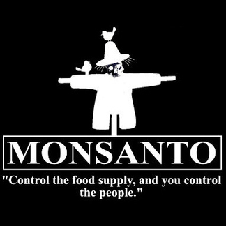 GMO voeding in de wereld volgens Monsanto | Voeding in de wereld: helicopterview | Scoop.it