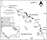 Local extirpations and regional declines of endemic upper beach invertebrates in southern California | Sandy Beach Ecology & Management | Scoop.it