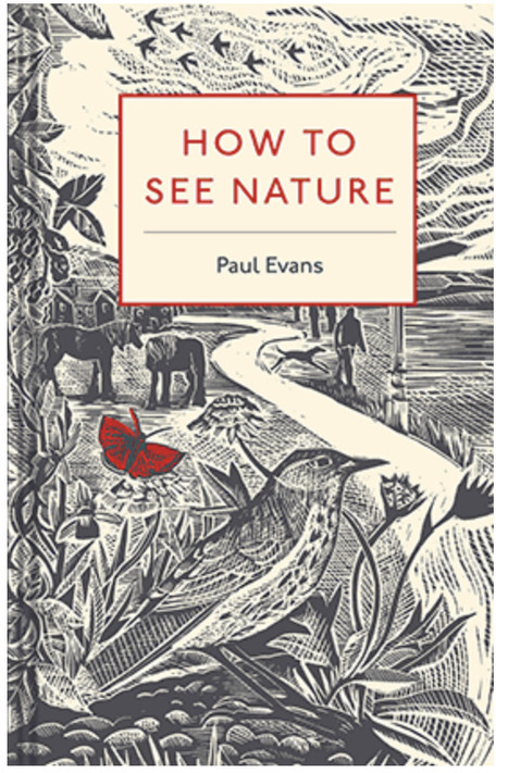 How To See Nature by Paul Evans @DrPaulEvans1 and published by Batsford Books  | Nature Flash | Scoop.it