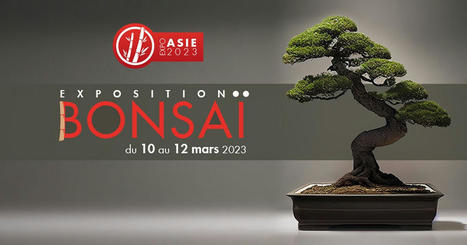 Bonsaï du 10 au 12 mars 2023 - Agenda - Jardin botanique Jean-Marie Pelt | veille territoriale | Scoop.it